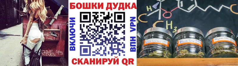 kraken   мориарти официальный сайт  Марихуана Amnesia  Брянск 